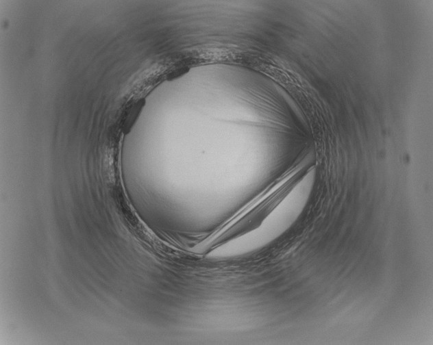 X0000075830696200610151520