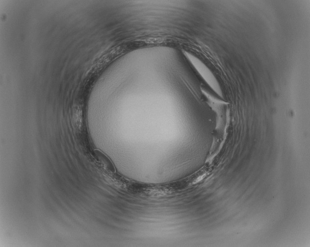 X0000075830697200610151520