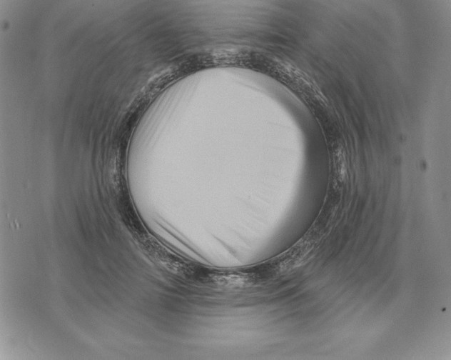 X0000075830698200610151520