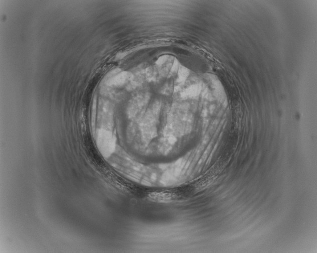 X0000075830699200610151520