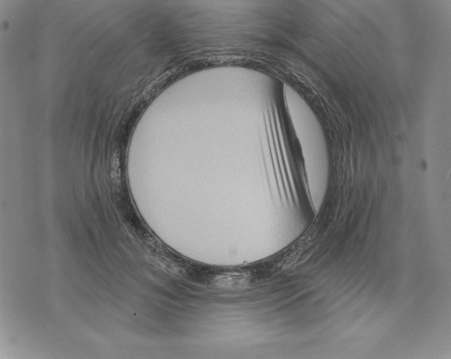 X0000075830700200610151520