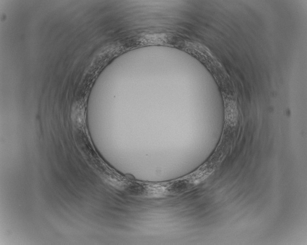 X0000075830701200610151520