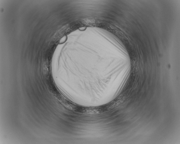 X0000075830702200610151520