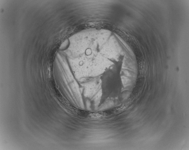 X0000075830703200610151520