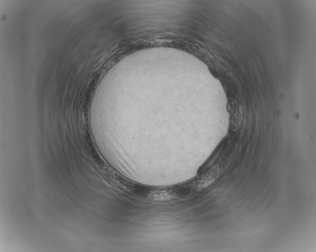 X0000075830704200610151520