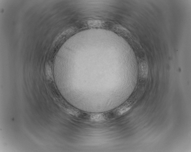 X0000075830705200610151520