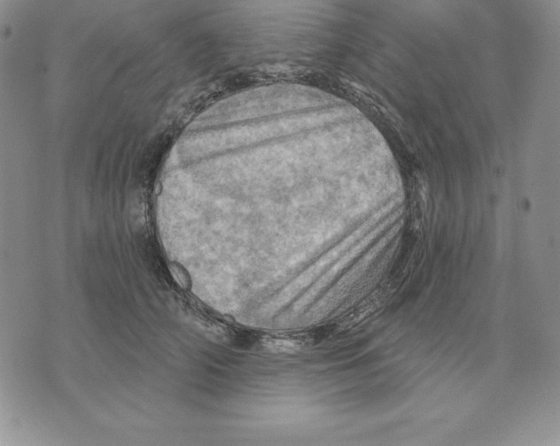 X0000075830706200610151520