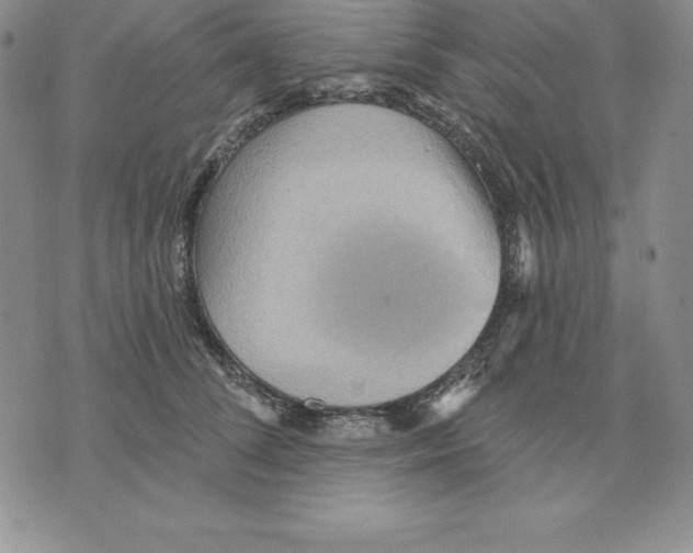 X0000075830708200610151520