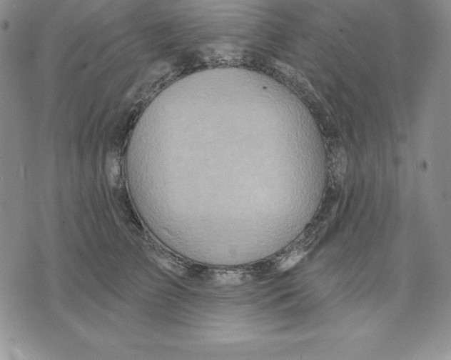 X0000075830709200610151520