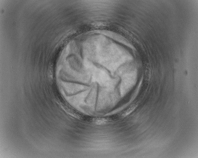 X0000075830710200610151520