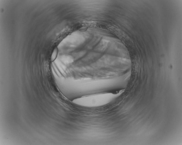 X0000075830711200610151520