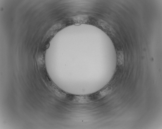 X0000075830713200610151520