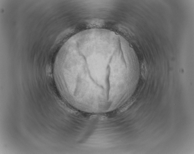 X0000075830714200610151520