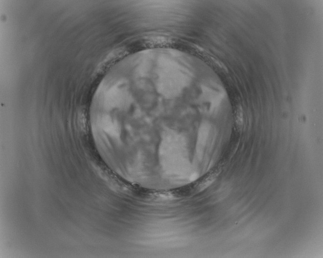 X0000075830715200610151520