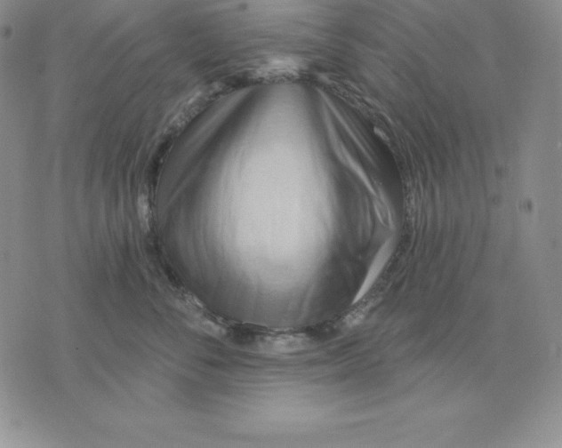 X0000075830716200610151520