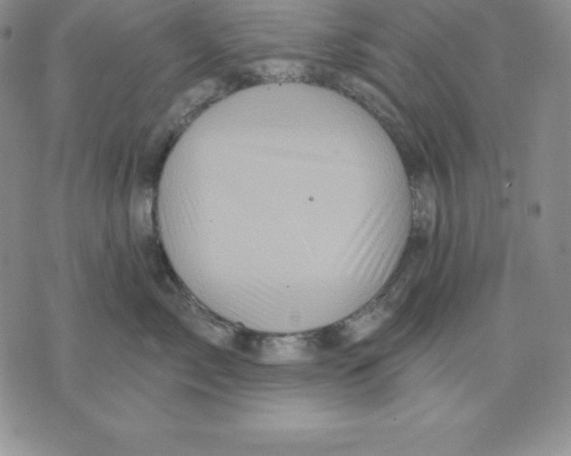 X0000075830717200610151520