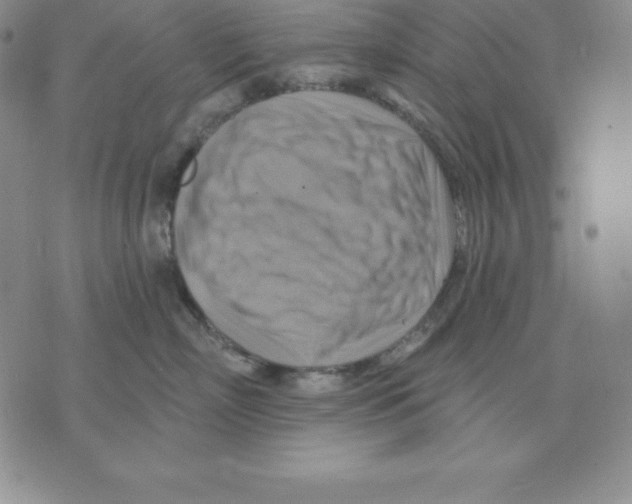 X0000075830718200610151520