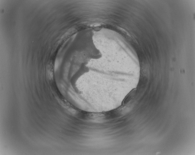 X0000075830719200610151520