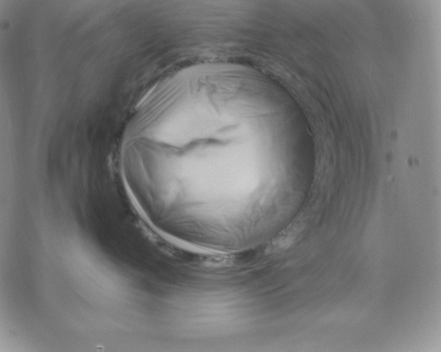 X0000075830720200610151520