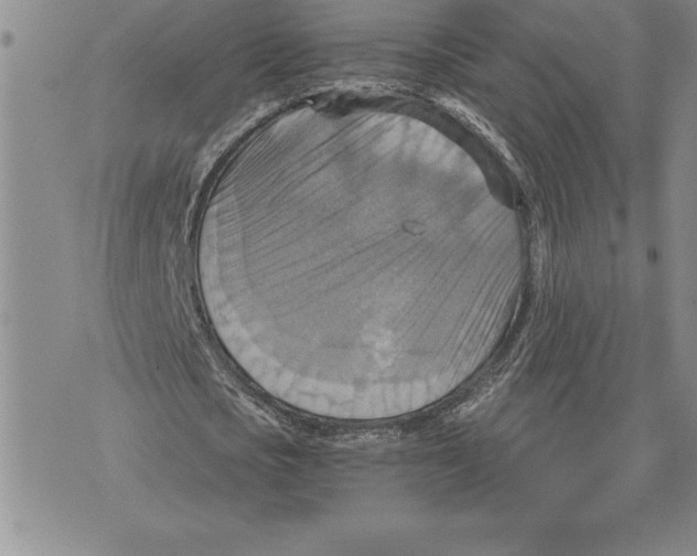 X0000075830721200610151519