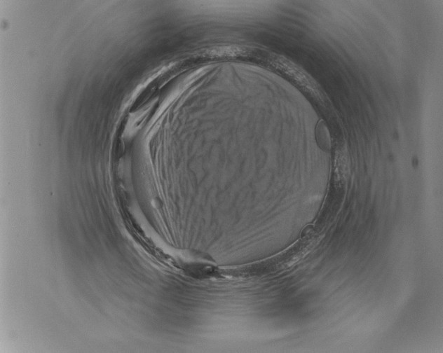 X0000075830722200610151519