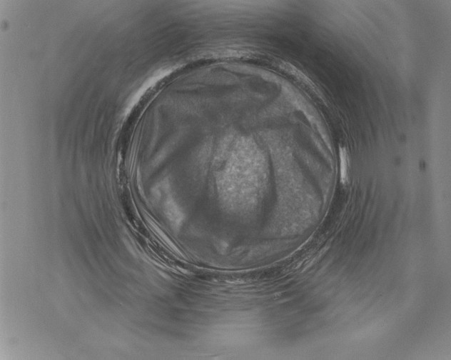 X0000075830723200610151519