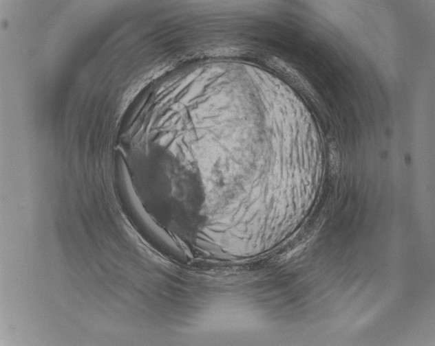 X0000075830725200610151519