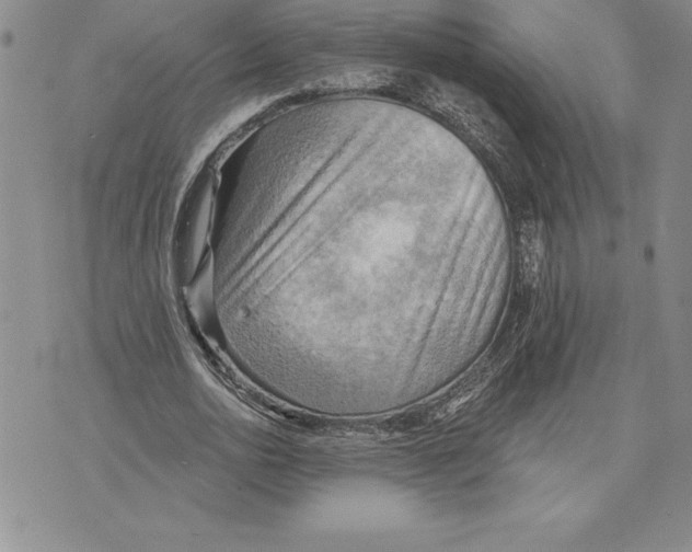 X0000075830726200610151519