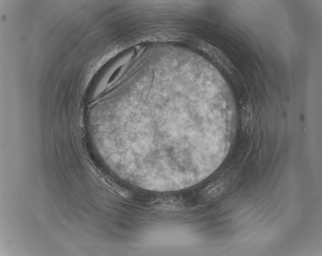 X0000075830727200610151519