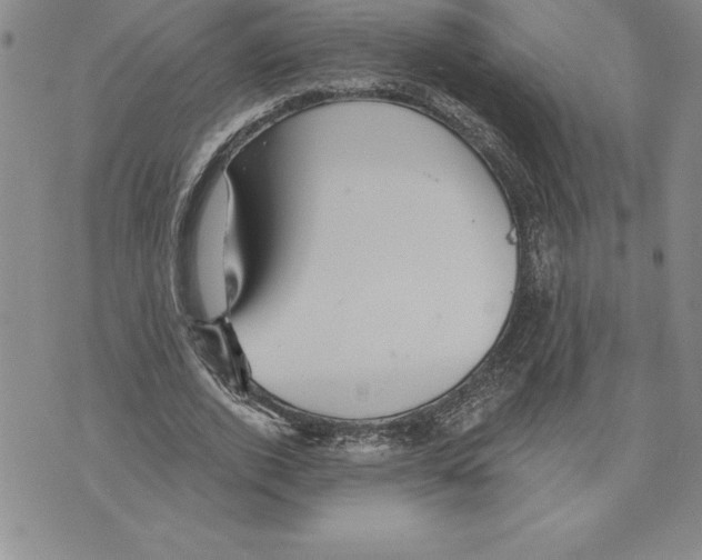 X0000075830728200610151519