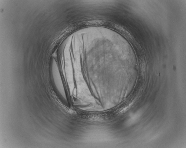 X0000075830729200610151519