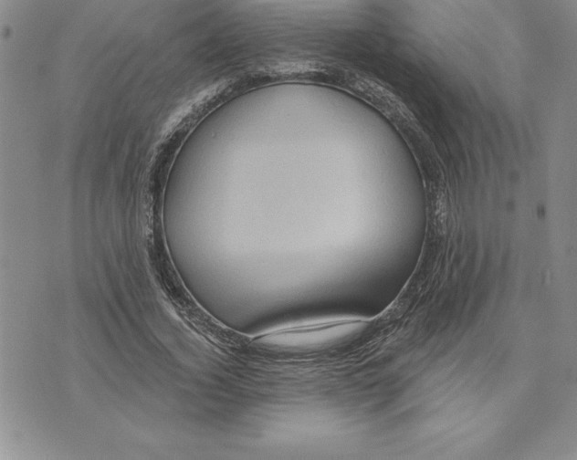 X0000075830732200610151519