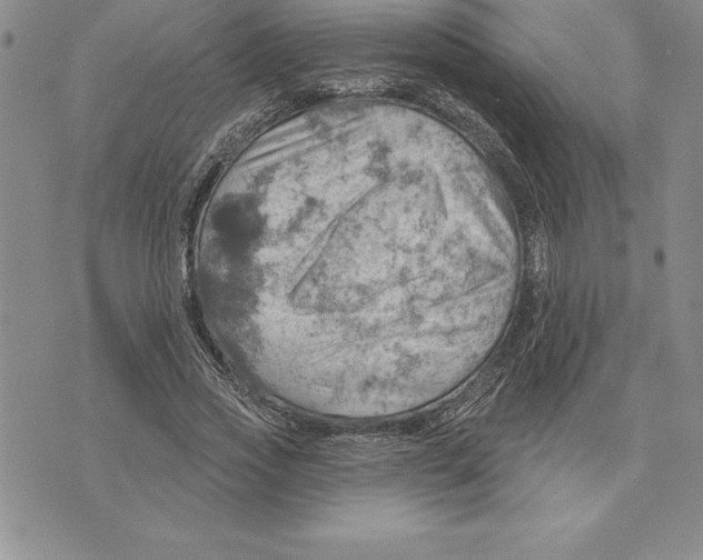 X0000075830733200610151519