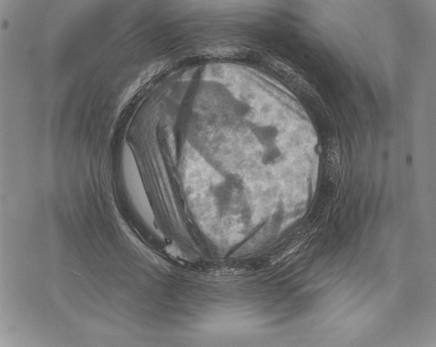 X0000075830734200610151519