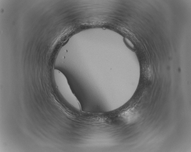 X0000075830735200610151519