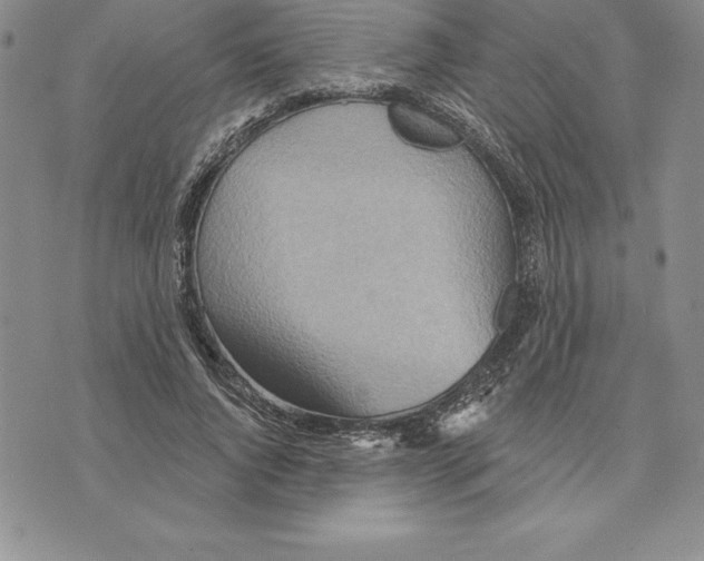 X0000075830736200610151519