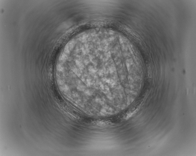 X0000075830737200610151519