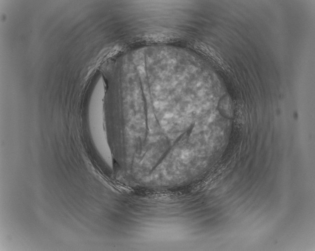 X0000075830738200610151519