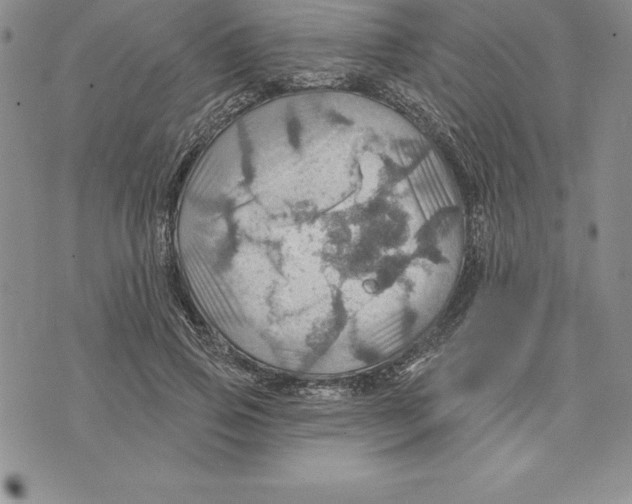 X0000075830741200610151519