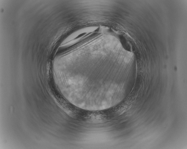 X0000075830742200610151519