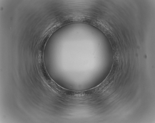 X0000075830744200610151519