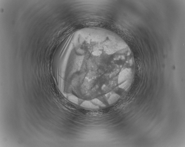 X0000075830745200610151519