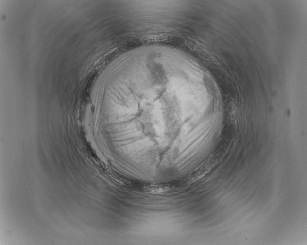 X0000075830746200610151519