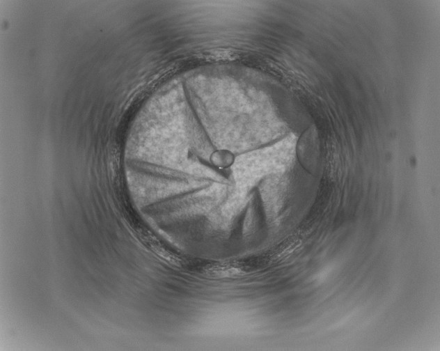 X0000075830747200610151519