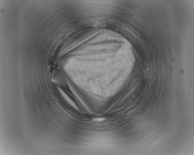 X0000075830748200610151519