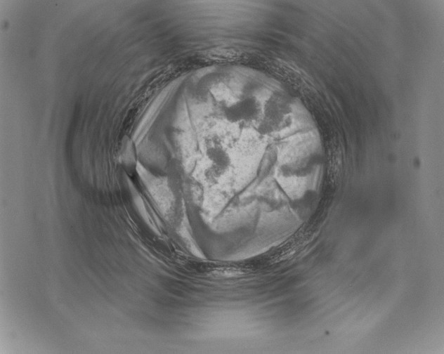 X0000075830749200610151519