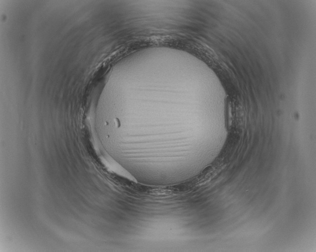 X0000075830750200610151519