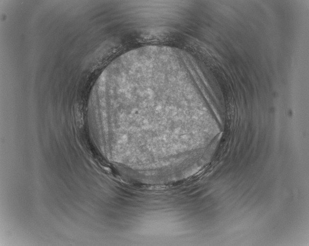 X0000075830751200610151519