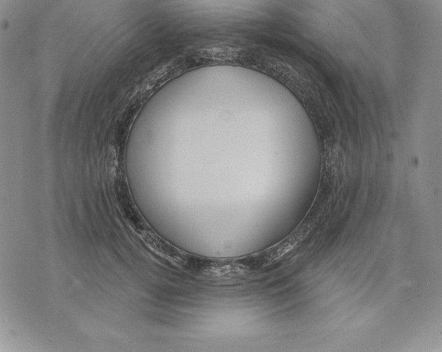 X0000075830752200610151519