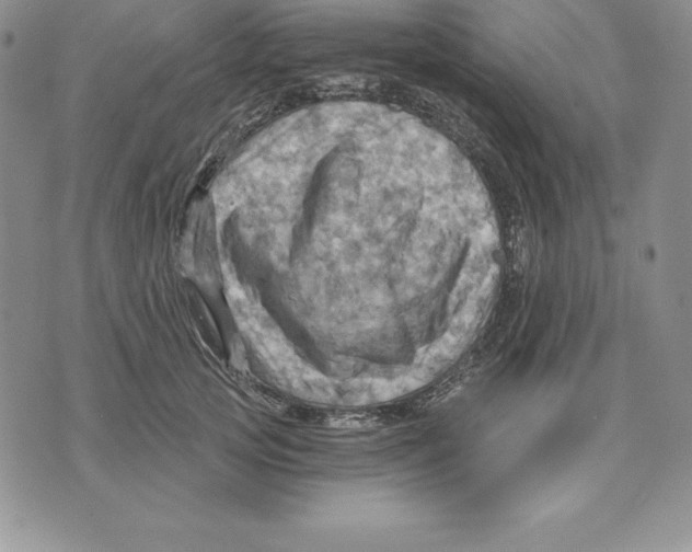 X0000075830753200610151519